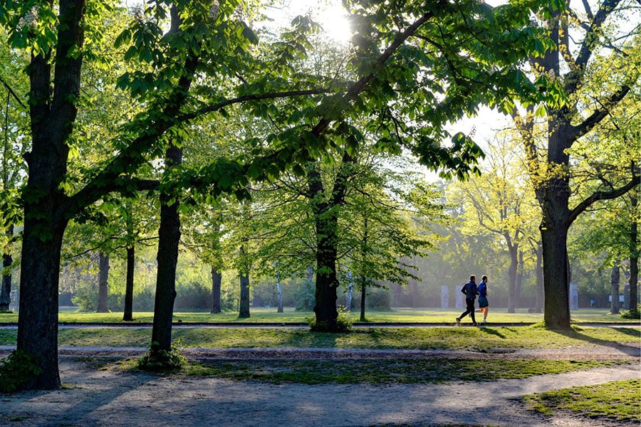 Presencia activa en cada rincón de Anaka-Puiana